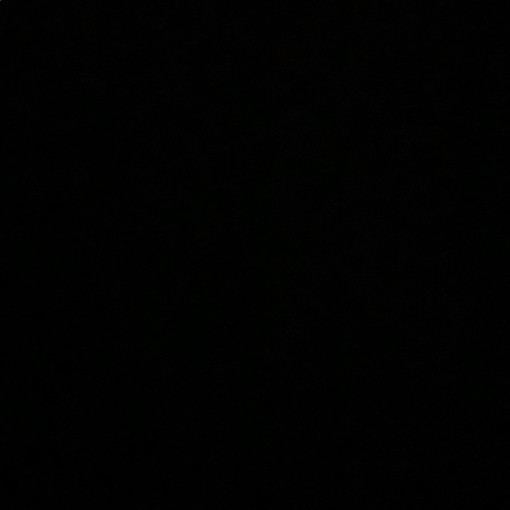 Meet your Posher, Reagan